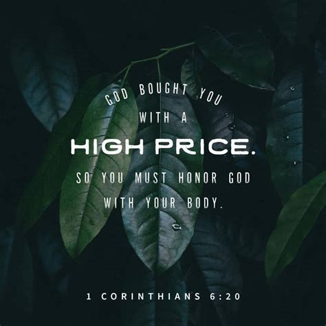1 corinthians 6:19-20 amplified